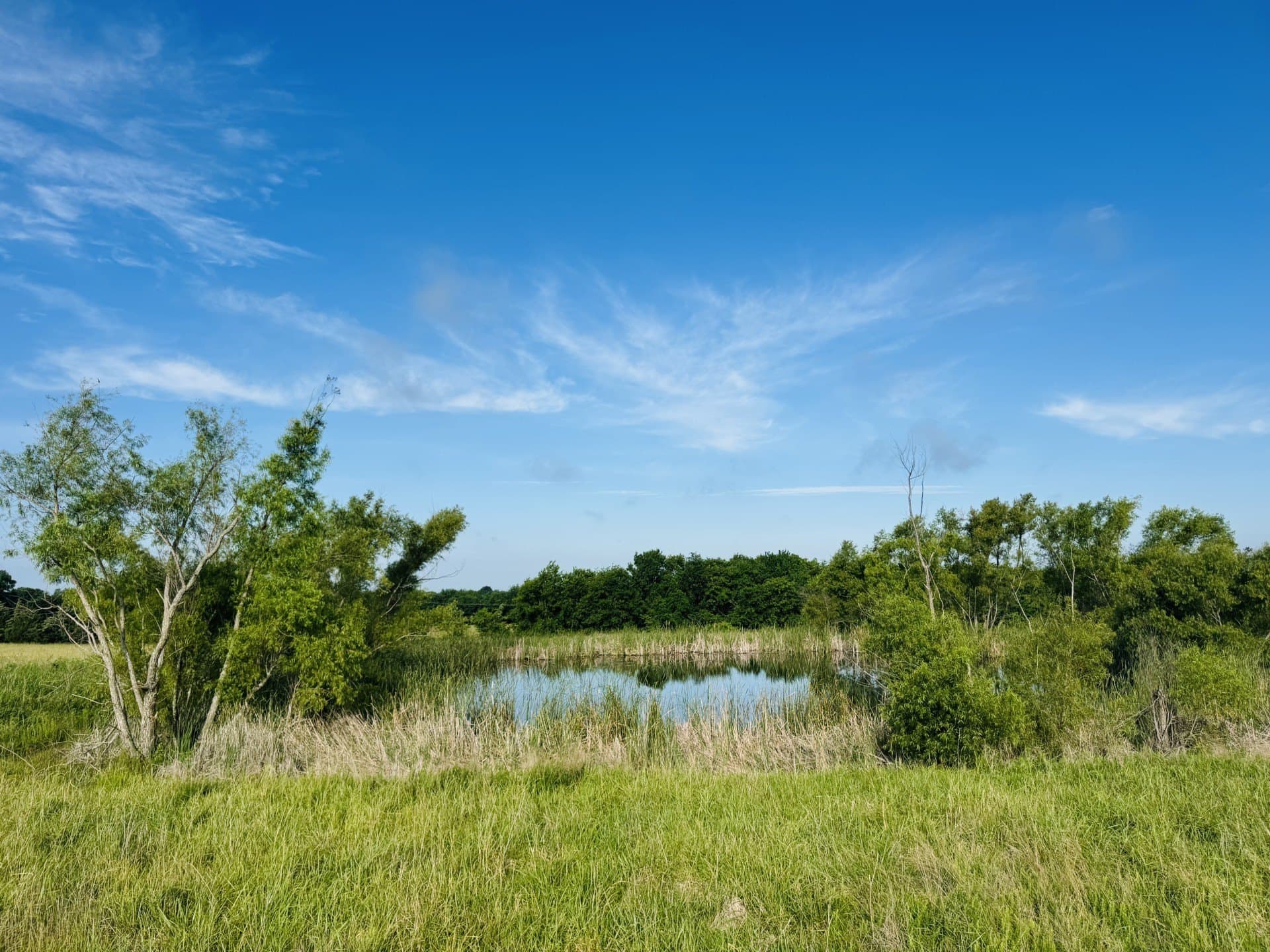 164.6 acres in Lamar County - photo 17