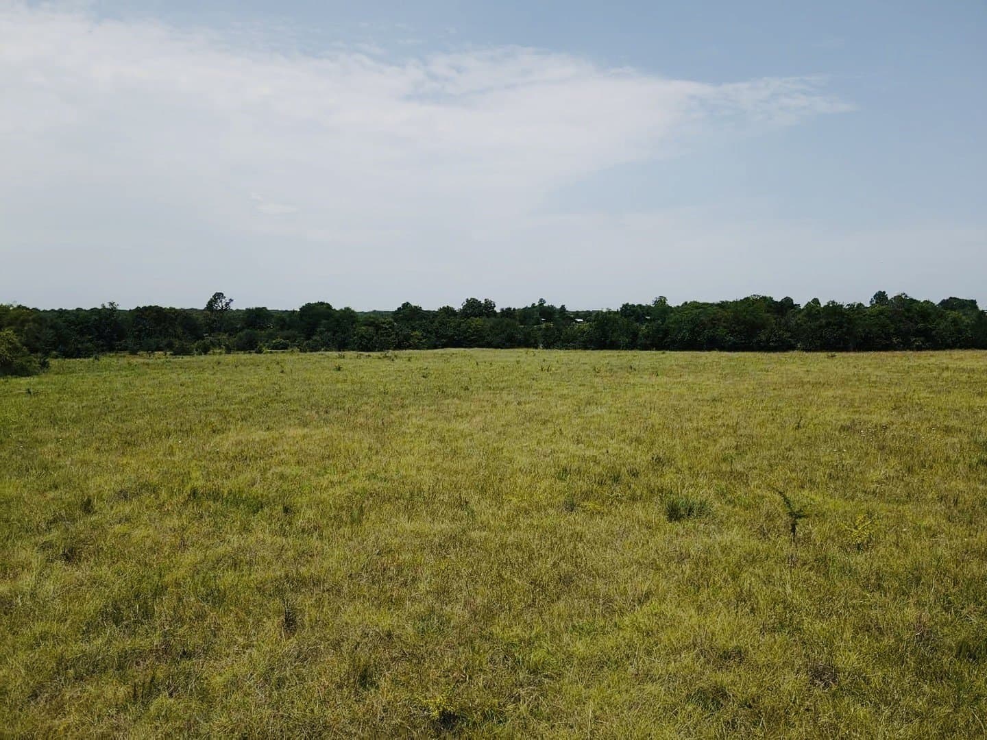 164.6 acres in Lamar County - photo 12