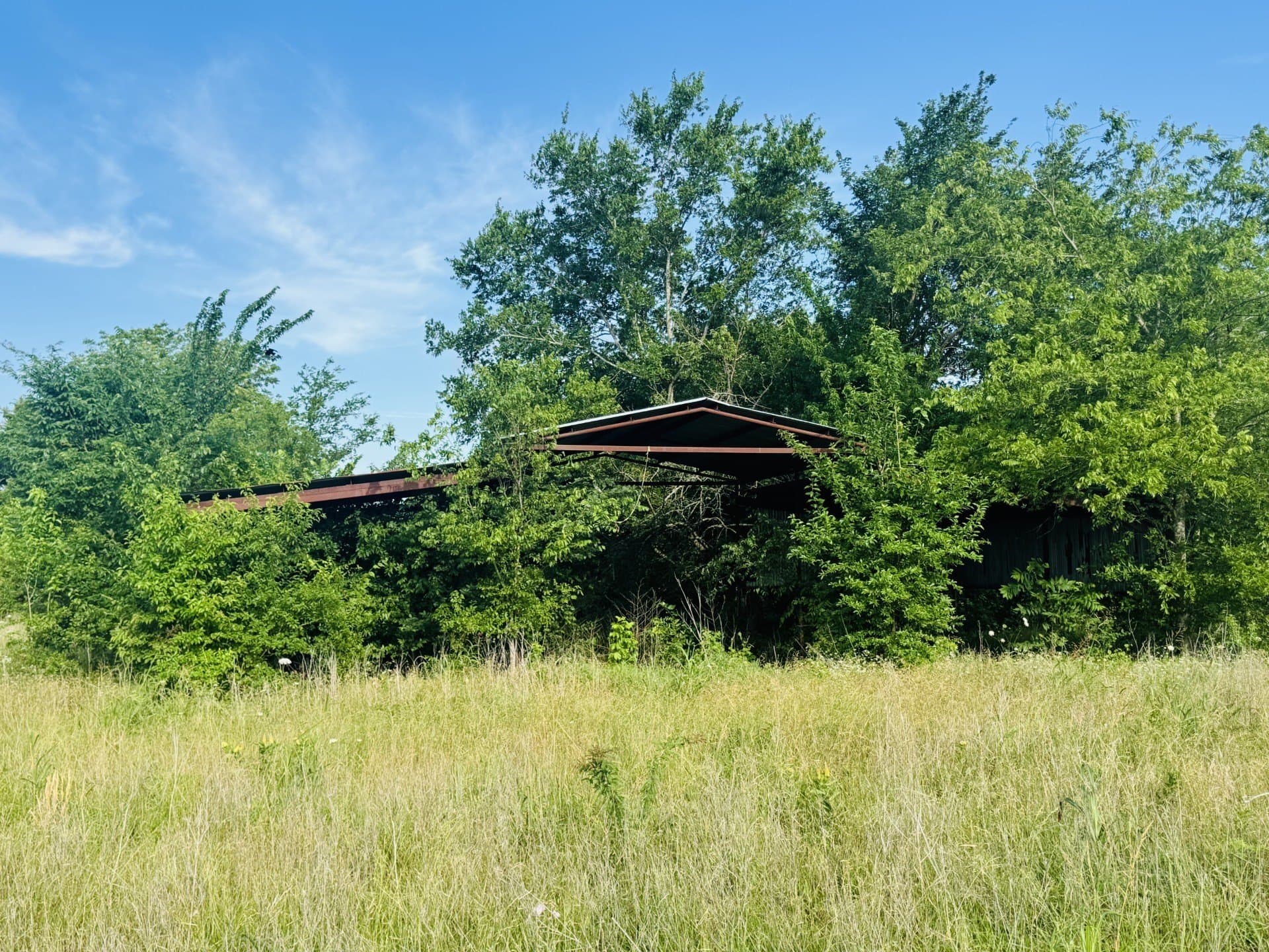 164.6 acres in Lamar County - photo 15