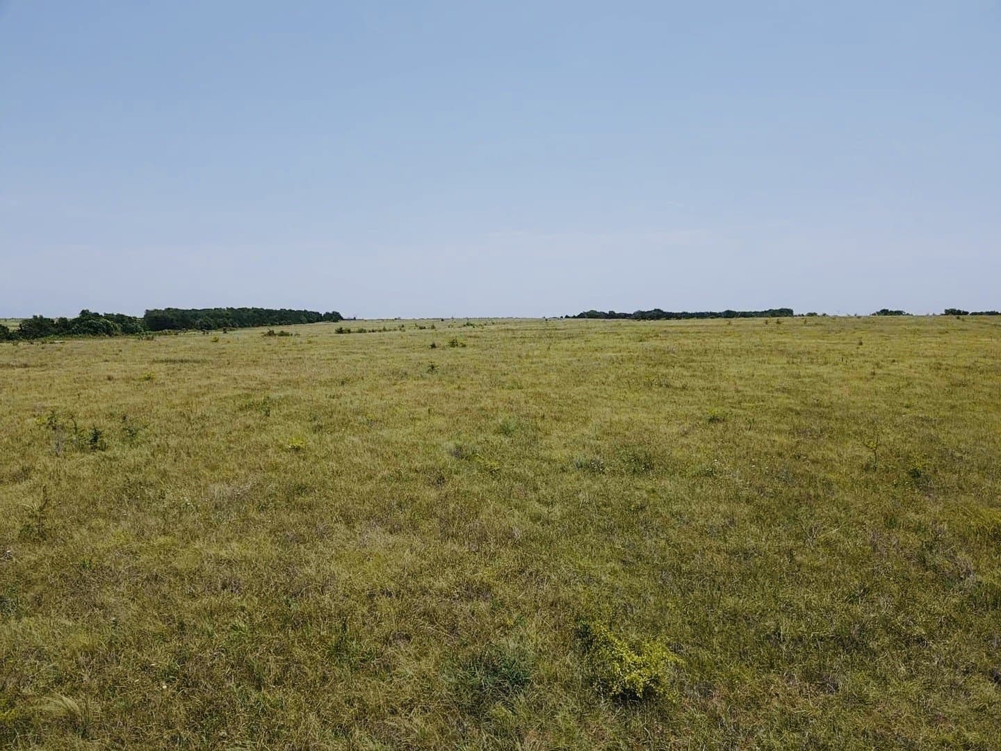 164.6 acres in Lamar County - photo 13