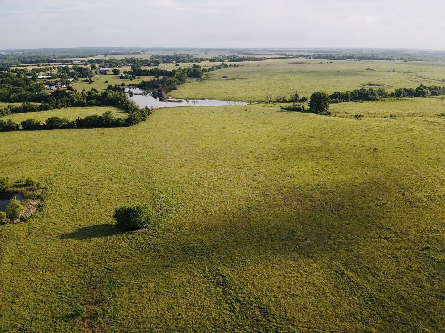 164.6 acres in Lamar County gallery image 3