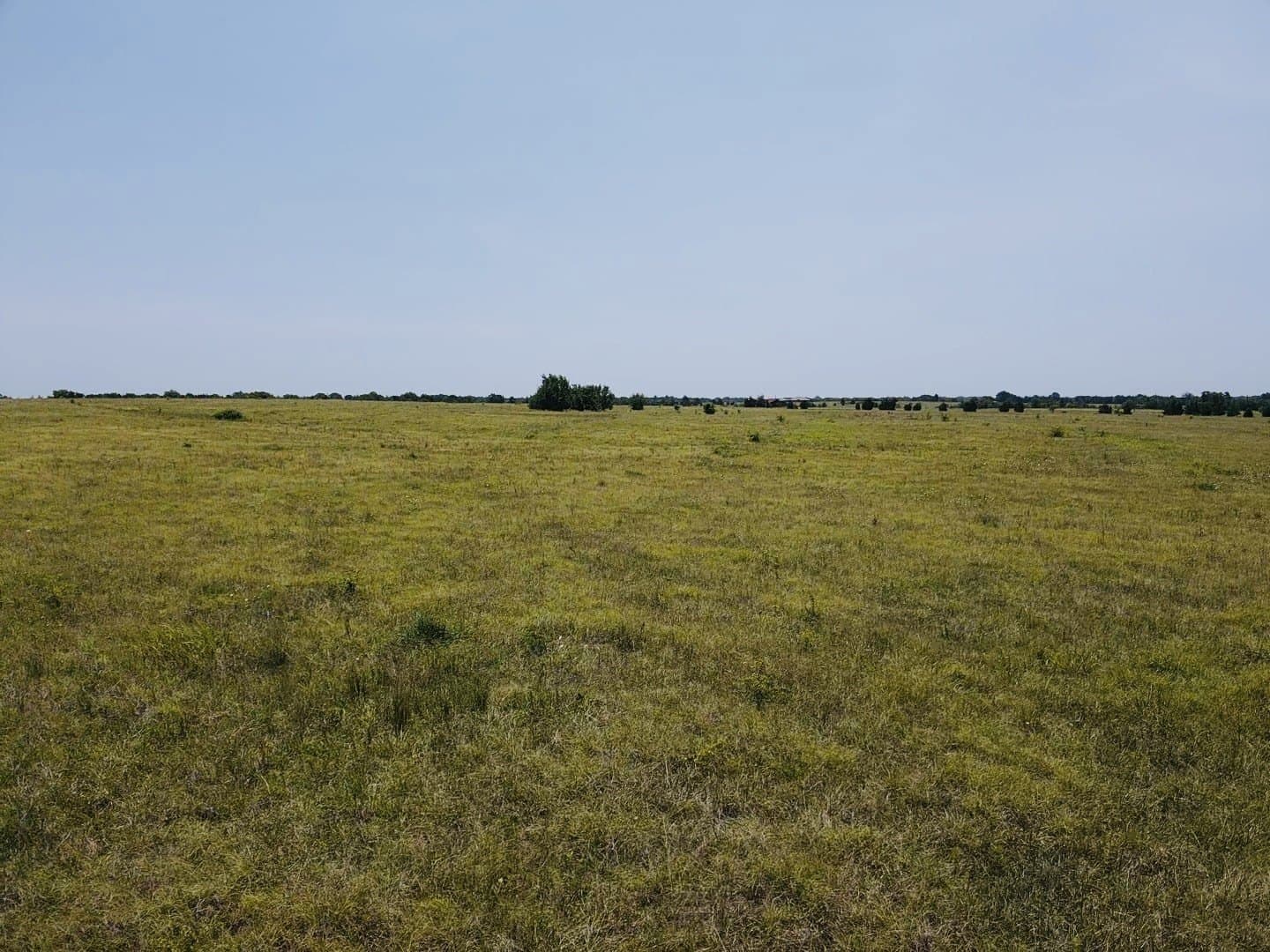 164.6 acres in Lamar County - photo 14