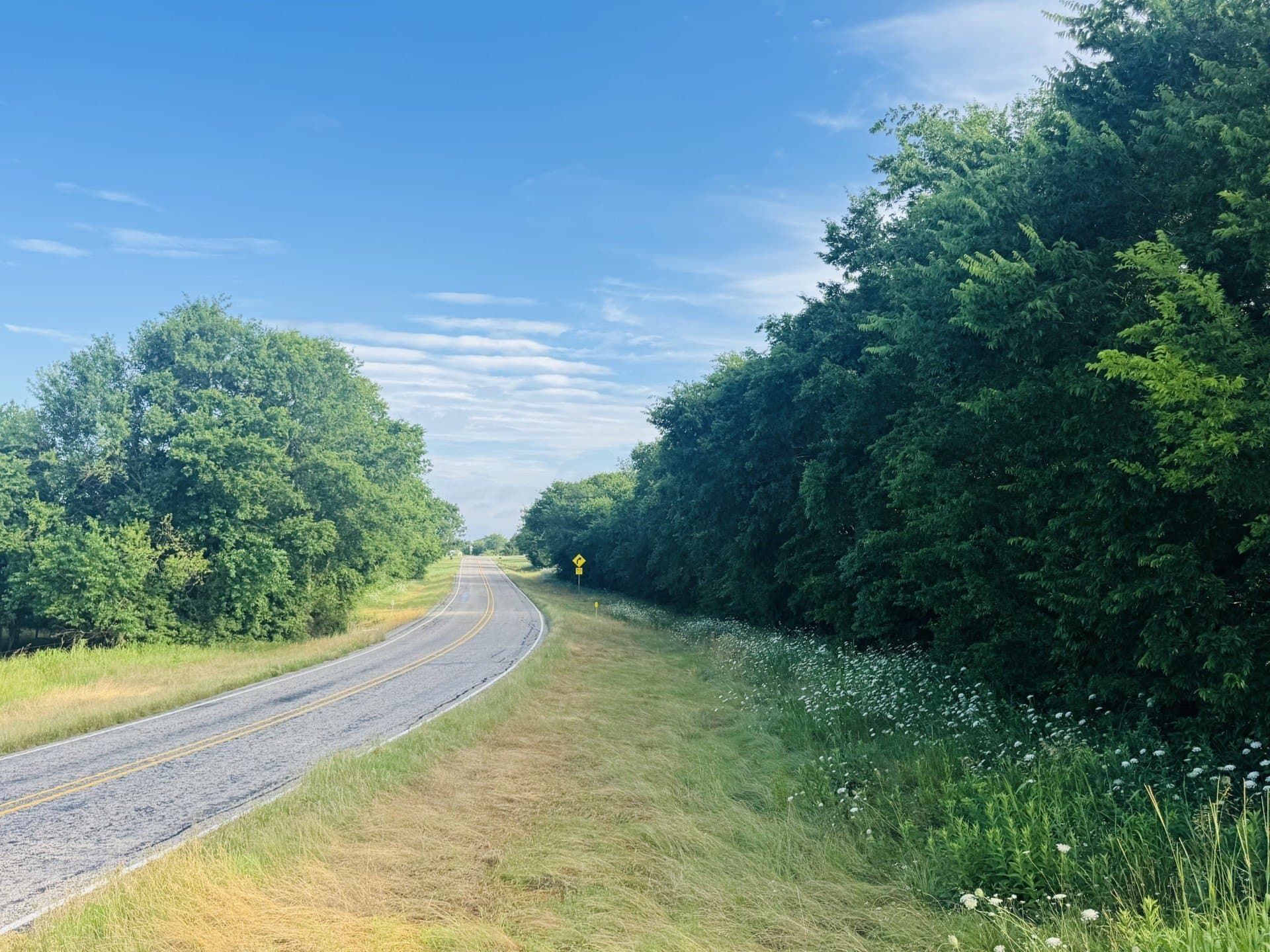 164.6 acres in Lamar County - photo 20