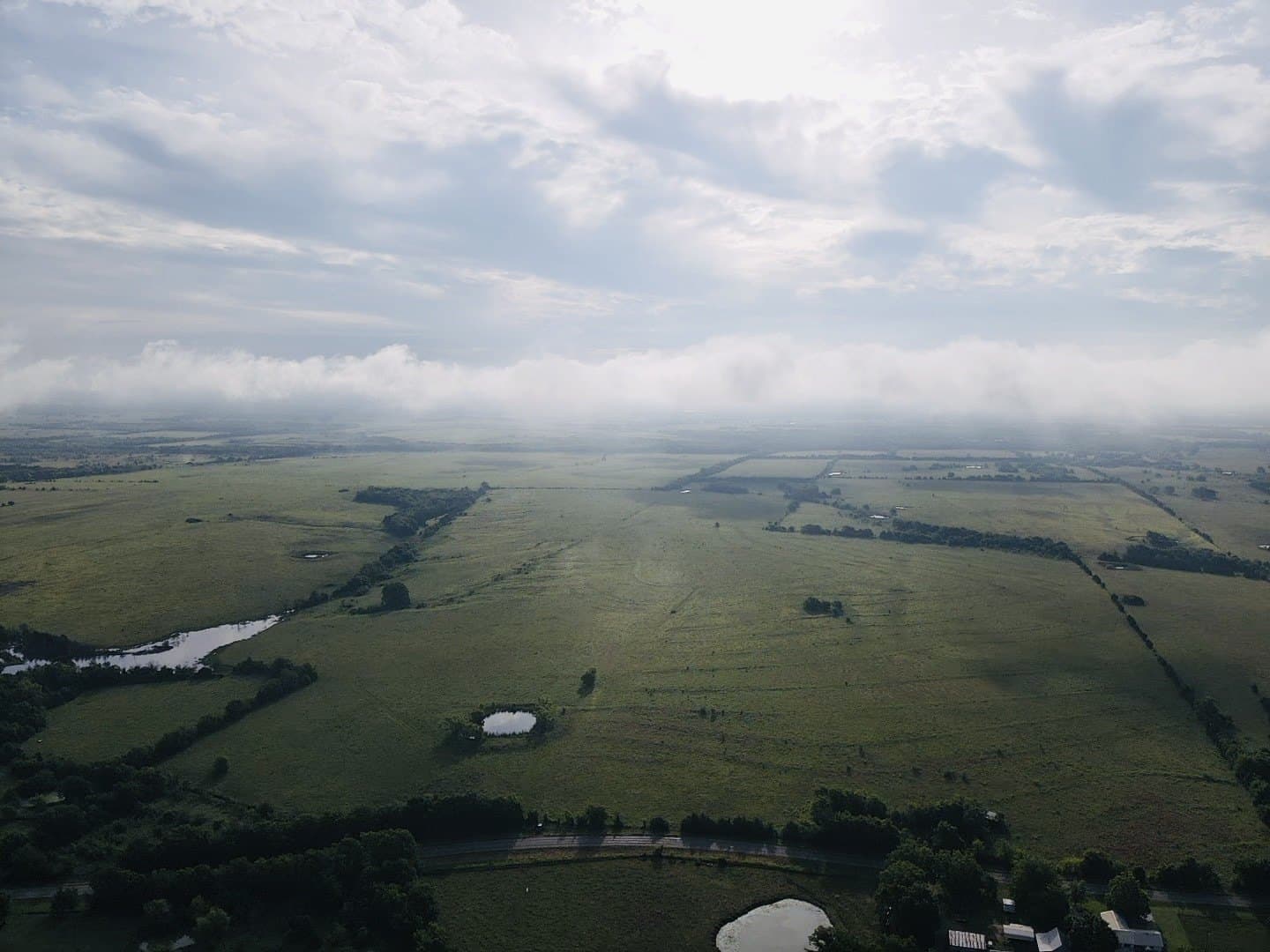 164.6 acres in Lamar County gallery image 2
