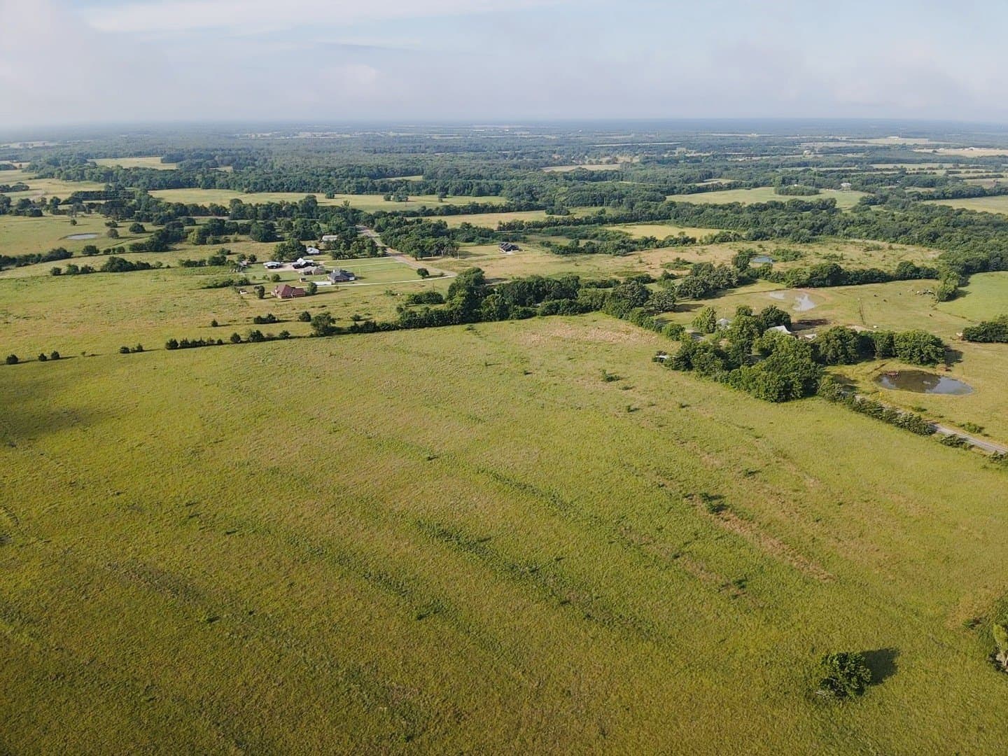 164.6 acres in Lamar County gallery image 4