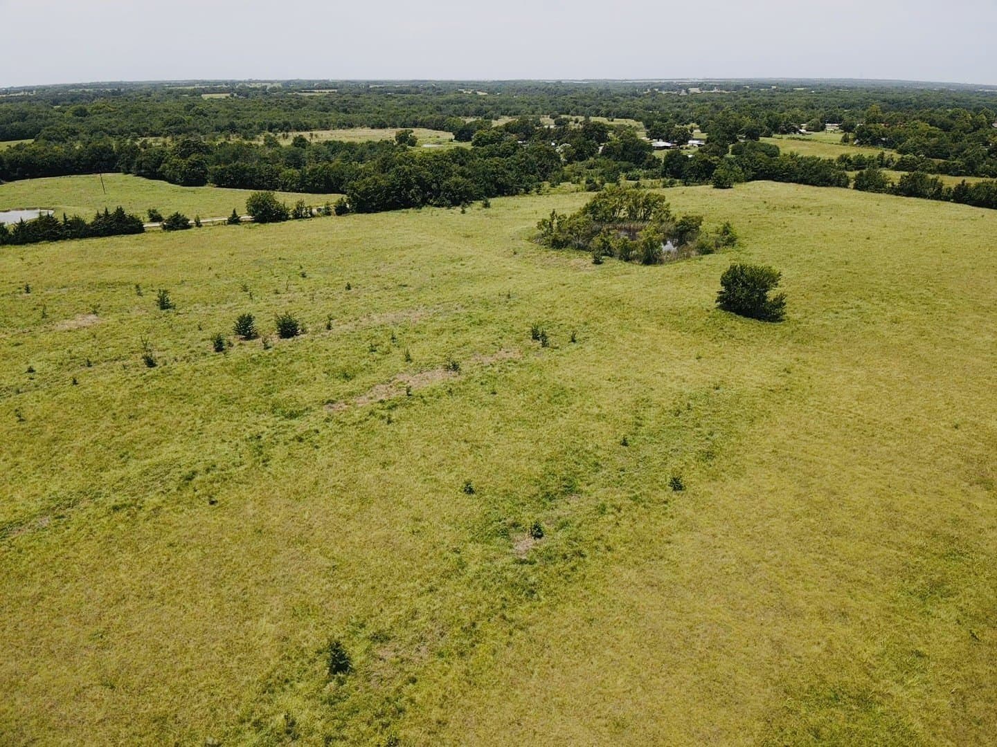 164.6 acres in Lamar County - photo 7