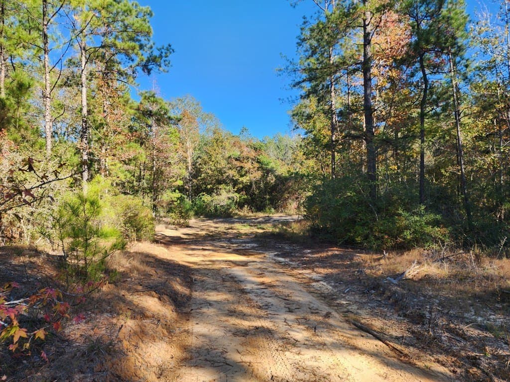 211.31 acres in Texas County gallery image 3