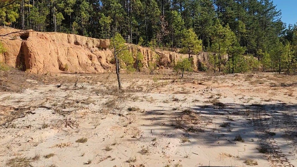 211.31 acres in Texas County gallery image 4