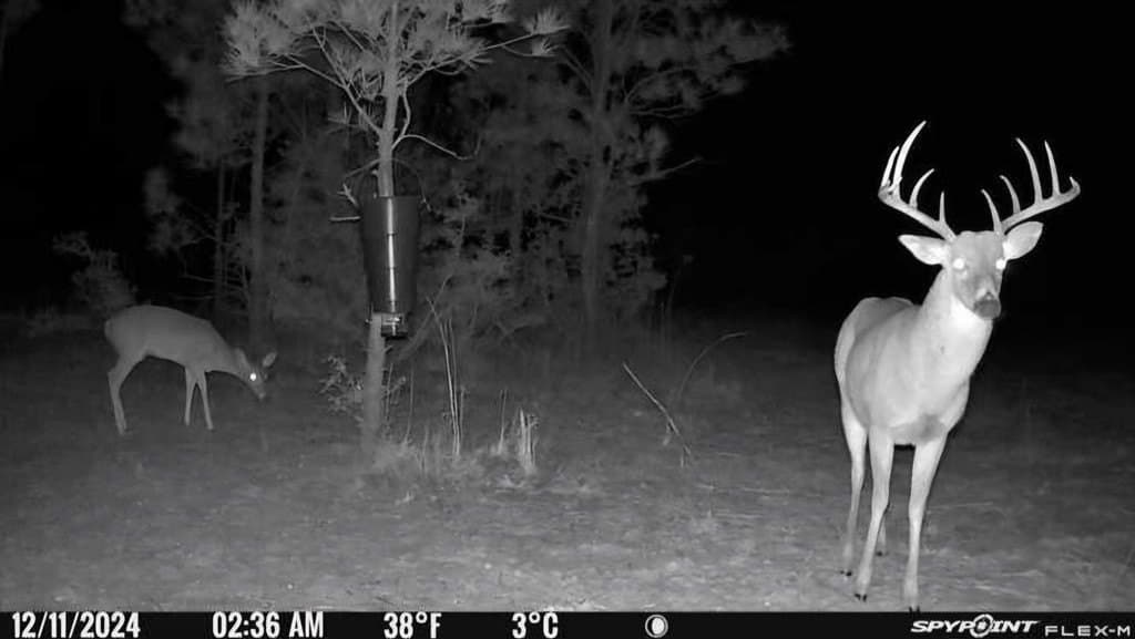 211.31 acres in Texas County