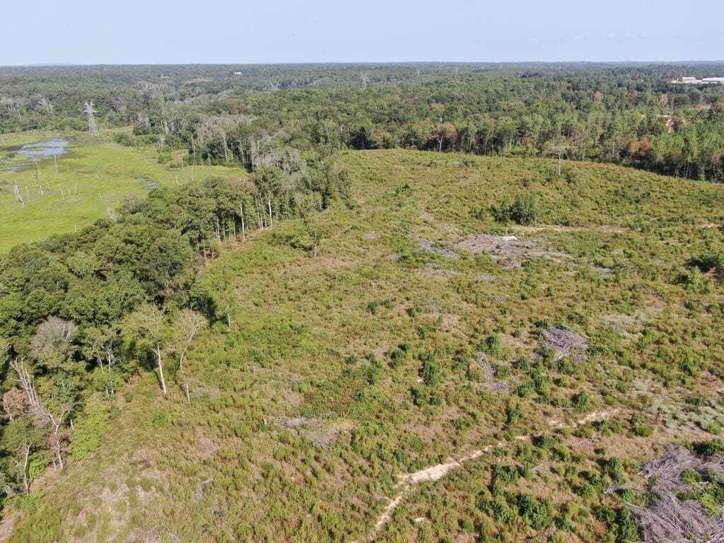 34.82 acres in Texas County - photo 9
