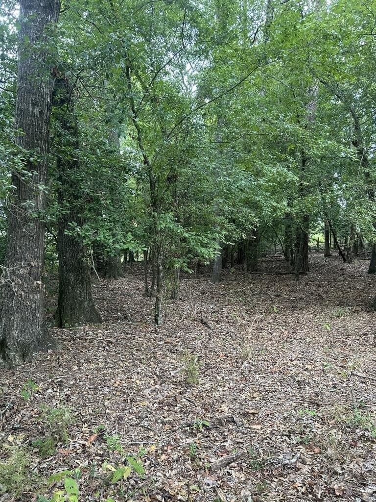 34.82 acres in Texas County - photo 4