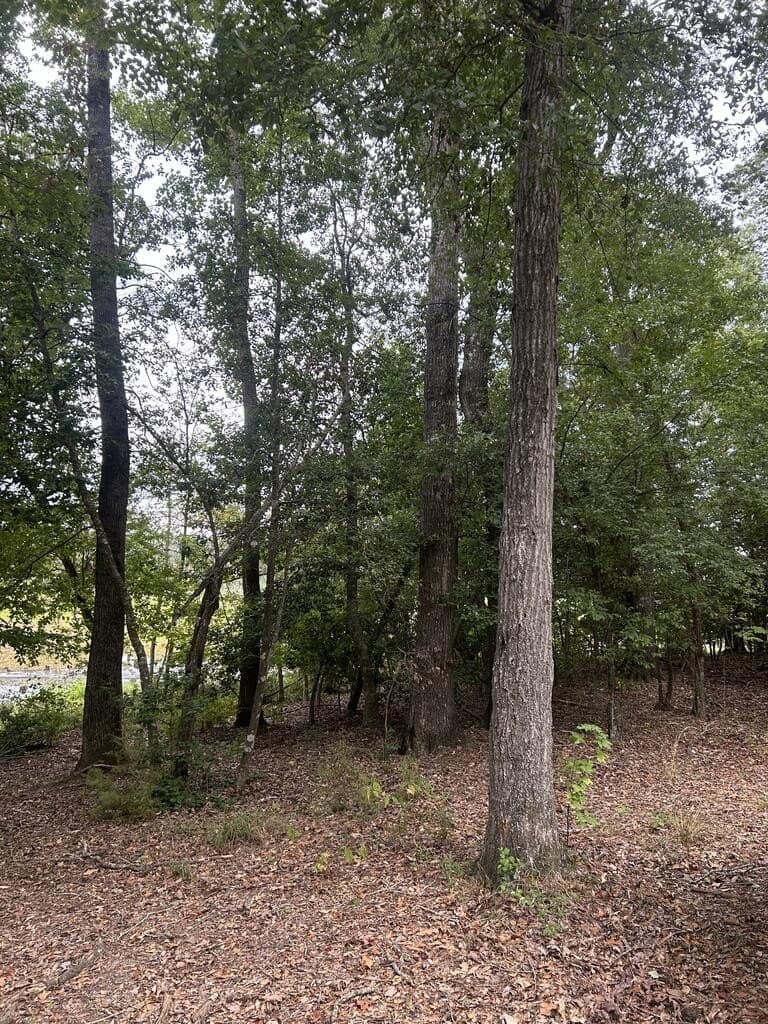 34.82 acres in Texas County - photo 2