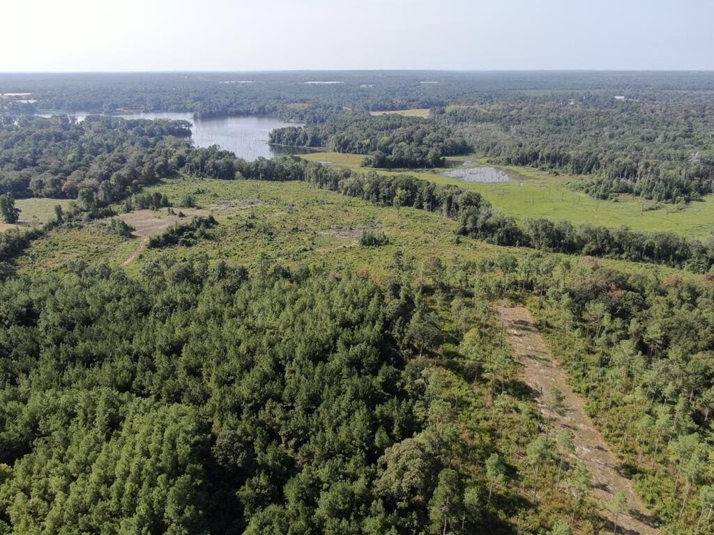 34.82 acres in Texas County - photo 6