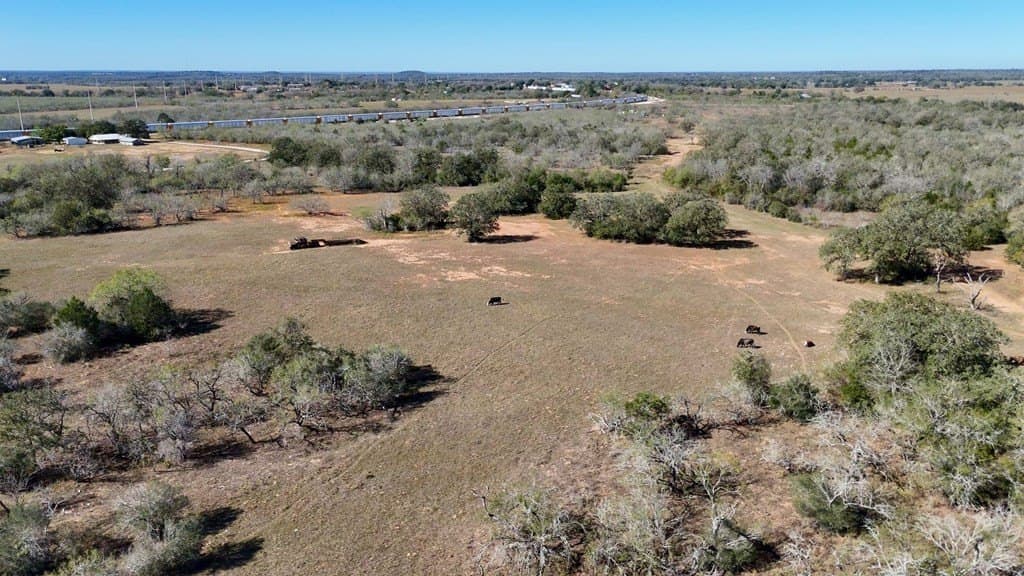 668 acres in Gonzales County gallery image 4