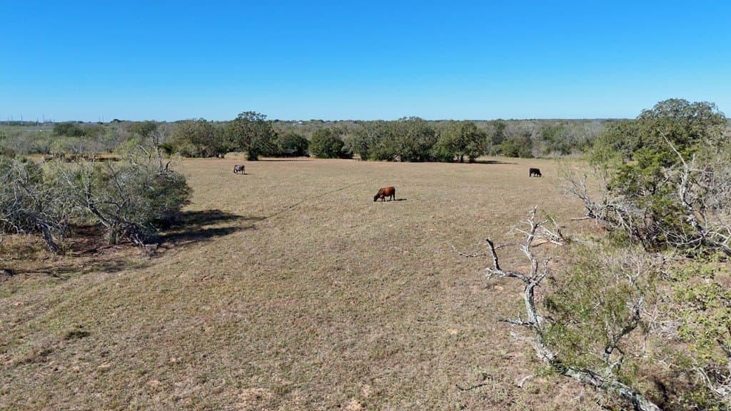 668 acres in Gonzales County featured view