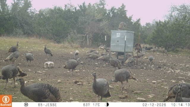 396 acres in Gillespie County - photo 8