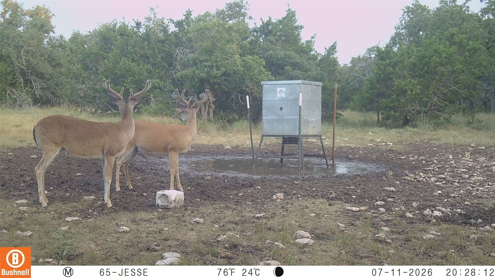 396 acres in Gillespie County - photo 6