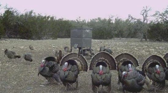 396 acres in Gillespie County - photo 9