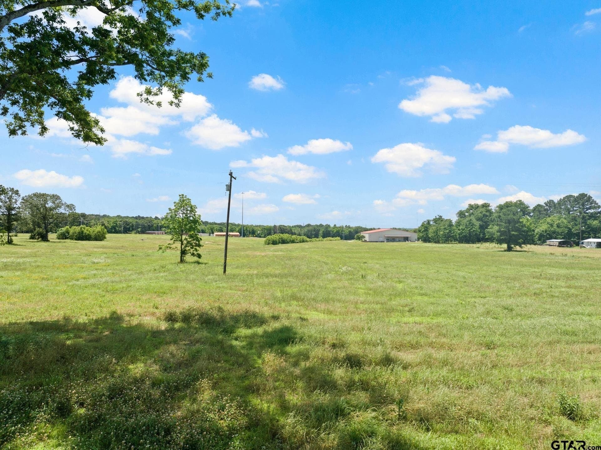 10 acres in Titus County featured view