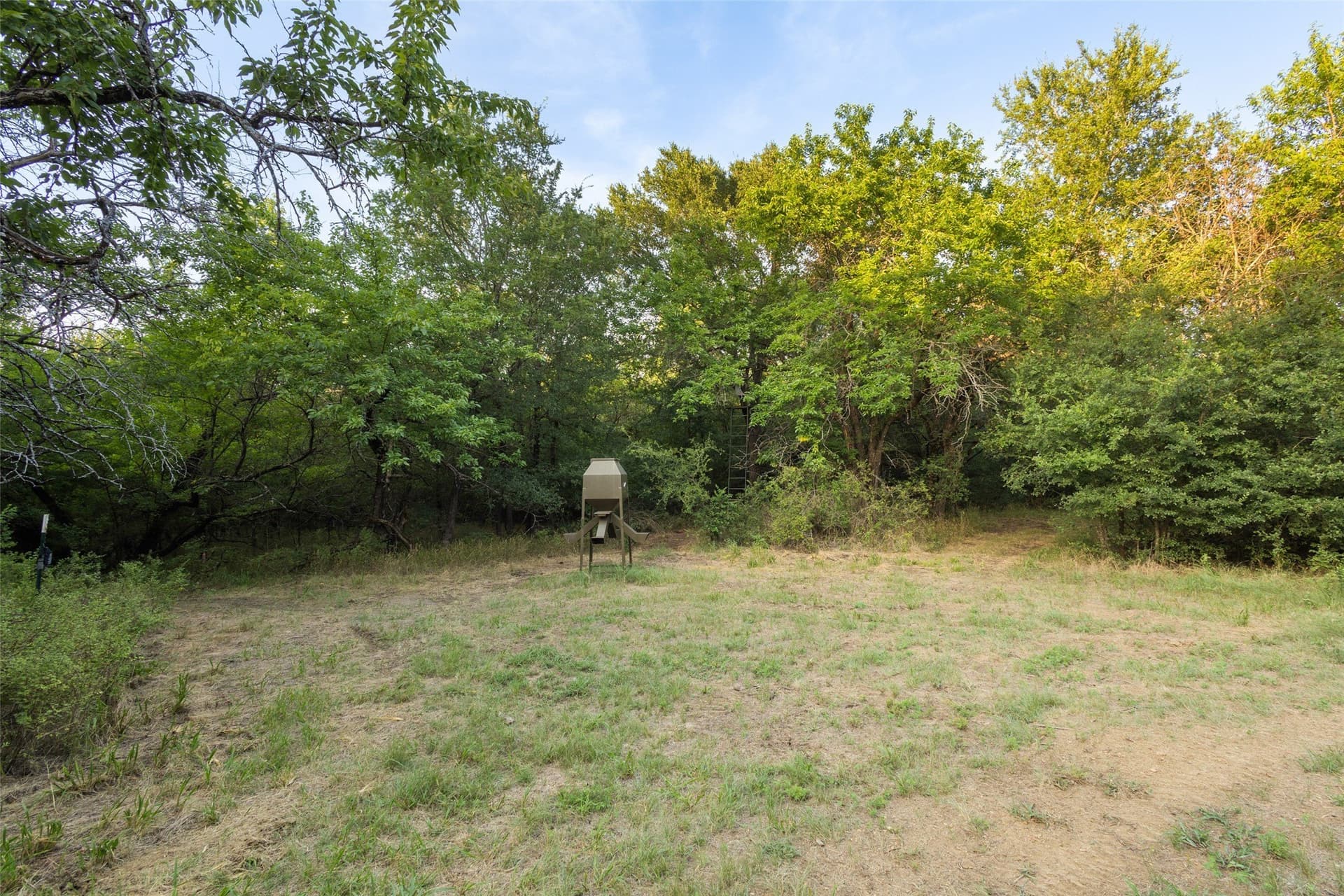 20.7 acres in Grayson County - photo 24