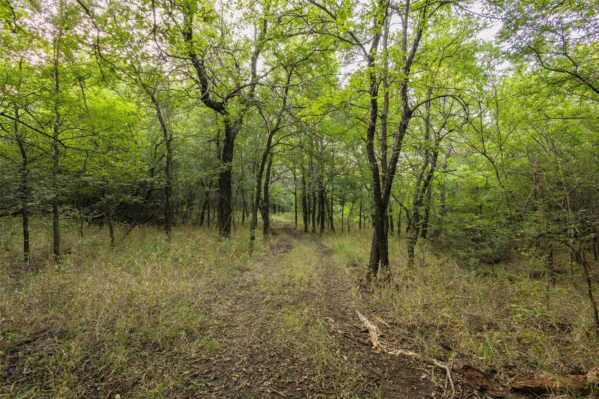 20.7 acres in Grayson County - photo 25