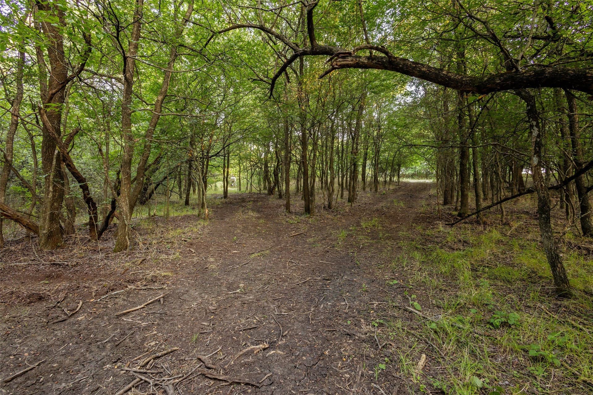 20.7 acres in Grayson County - photo 26
