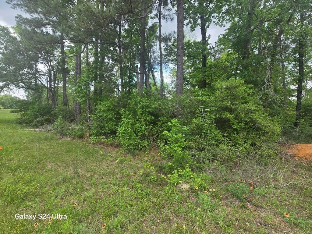 7.76 acres in Texas County gallery image 2