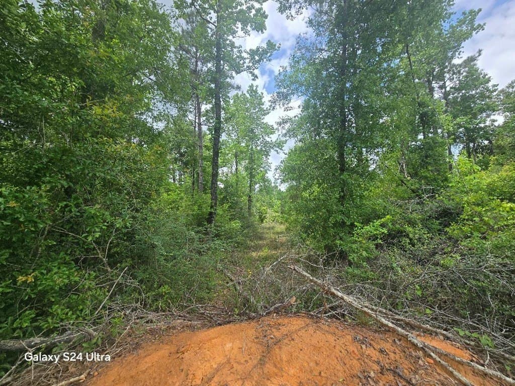 7.76 acres in Texas County gallery image 4
