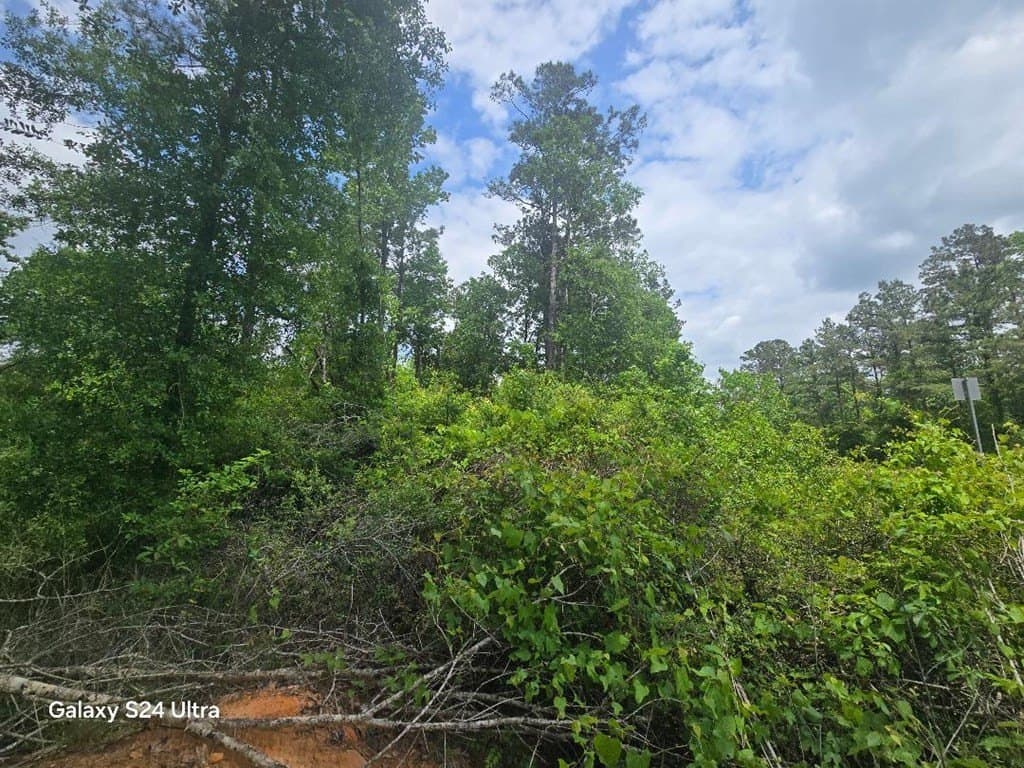 7.76 acres in Texas County featured view