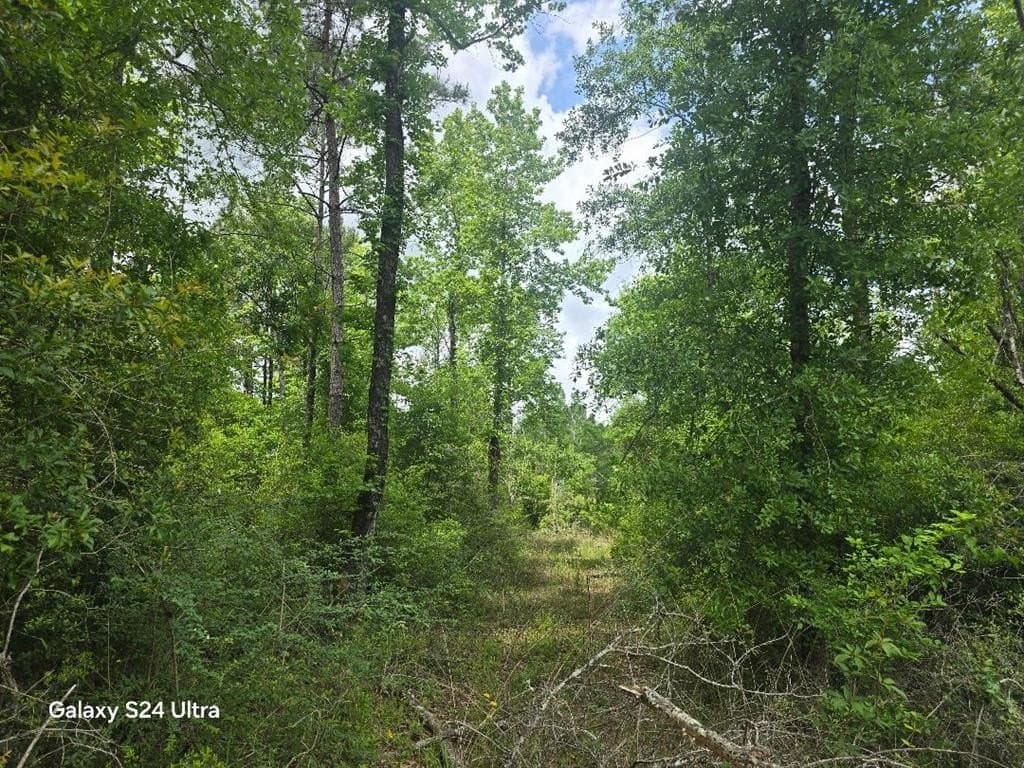 7.76 acres in Texas County