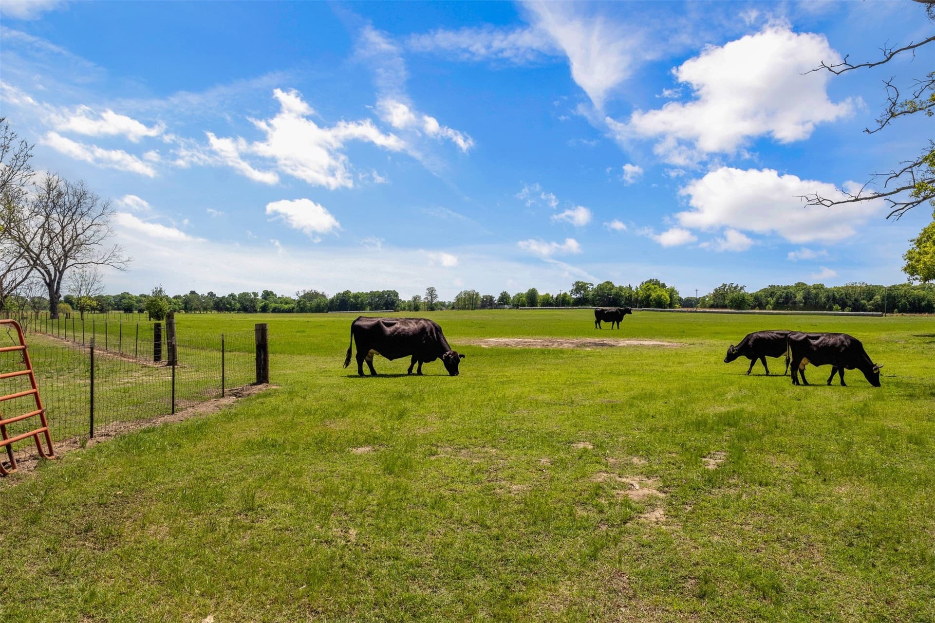 12.67 acres in Van Zandt County - photo 2
