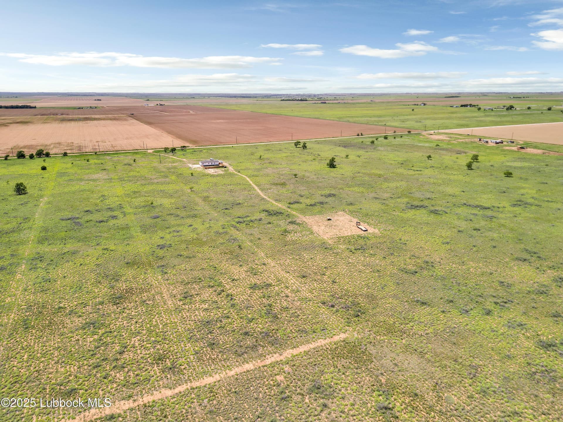 10.01 acres in Lamb County featured view