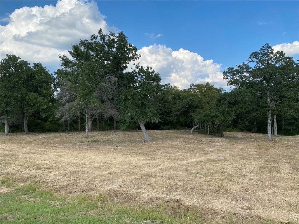 3.04 acres in Grimes County - photo 21