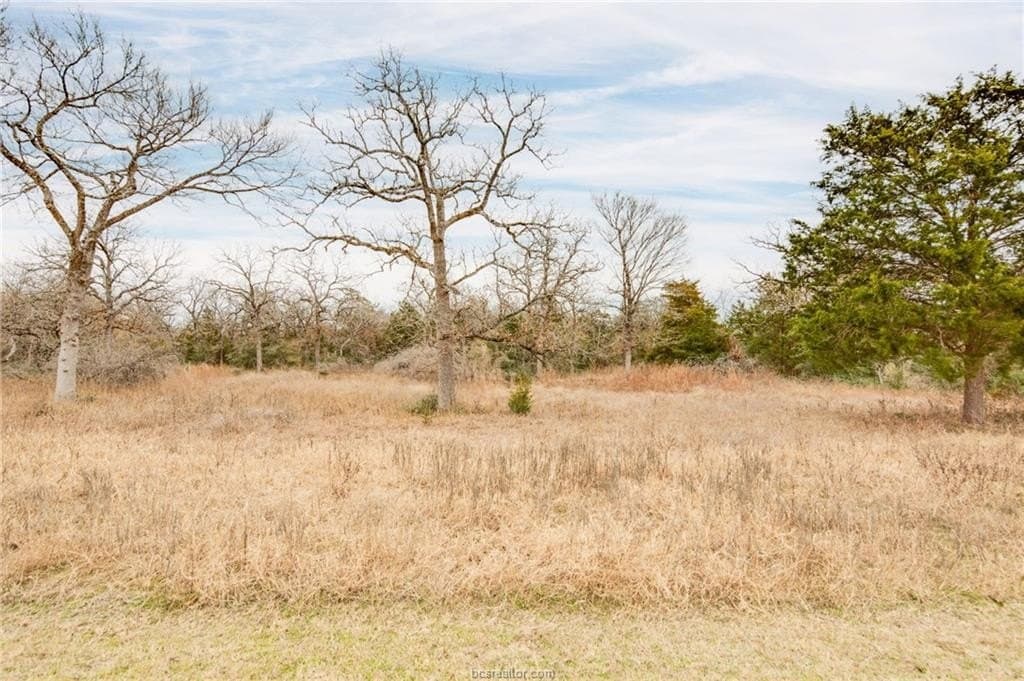 3.04 acres in Grimes County - photo 27