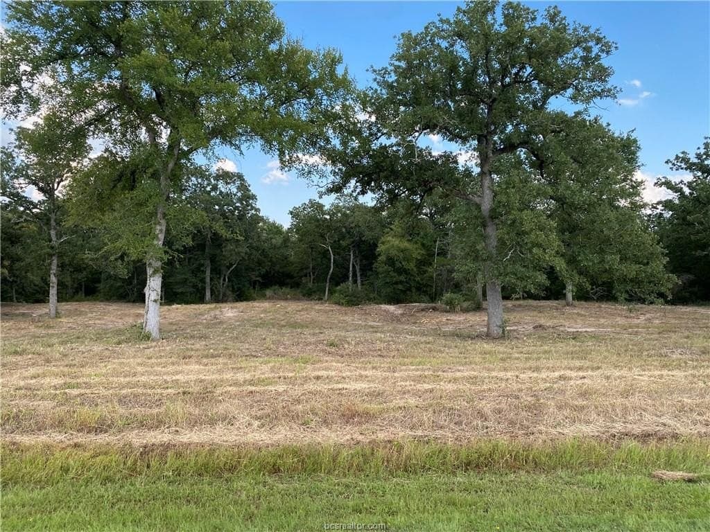 3.04 acres in Grimes County - photo 8