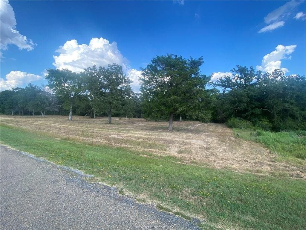 3.04 acres in Grimes County - photo 6