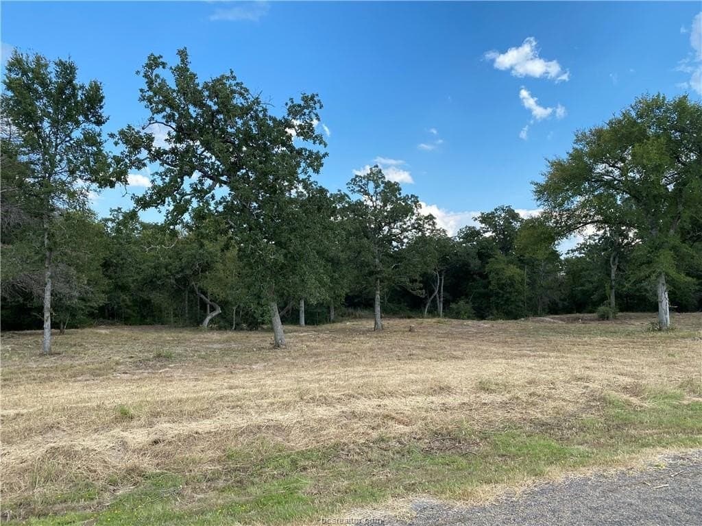 3.04 acres in Grimes County - photo 9