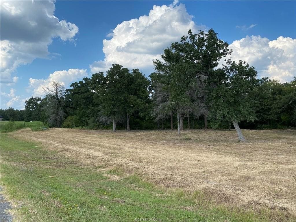 3.04 acres in Grimes County gallery image 4