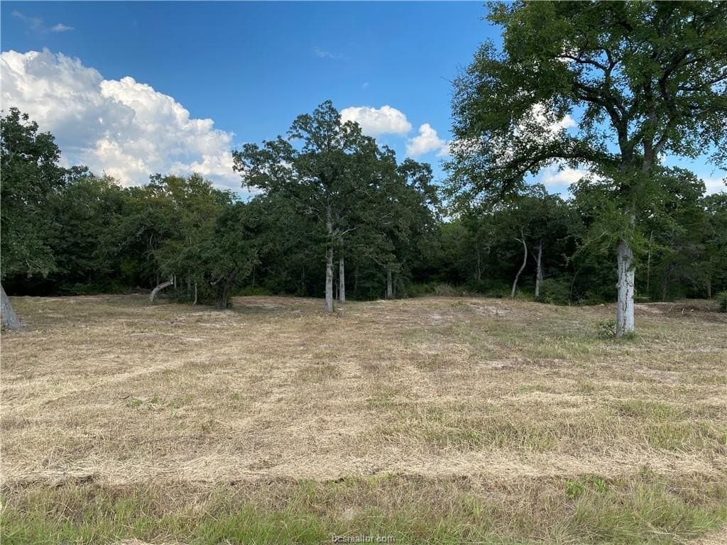 3.04 acres in Grimes County - photo 10