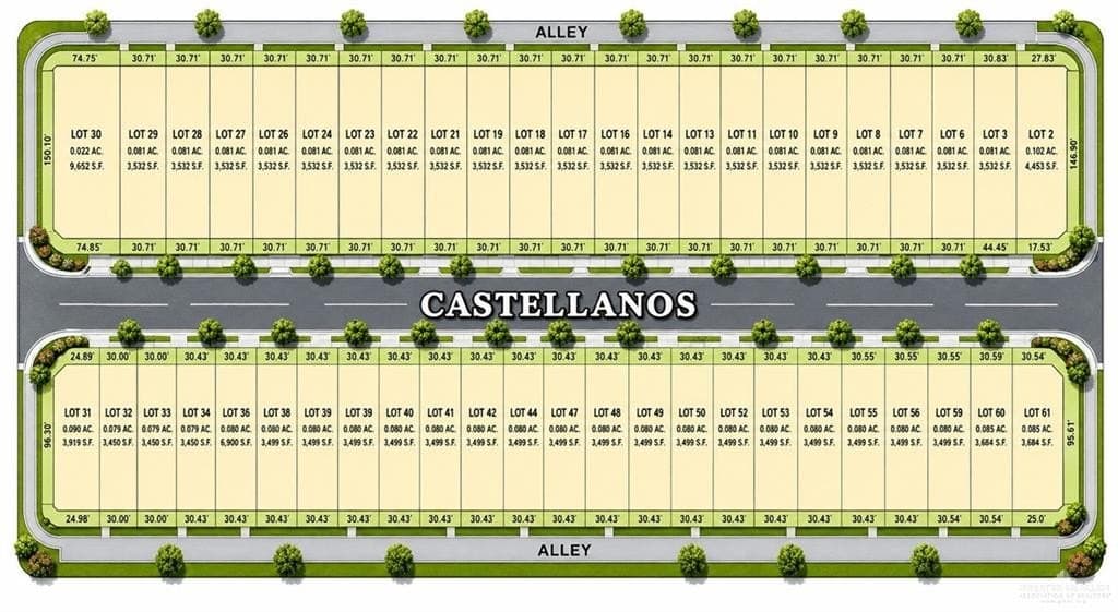 0.07 acres in Hidalgo County gallery image 3