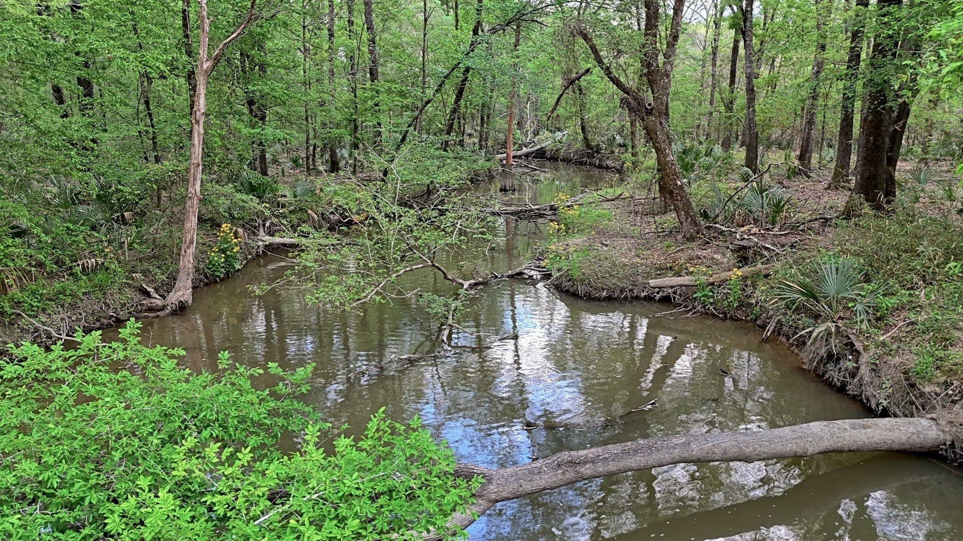 712 acres in Panola County - photo 38