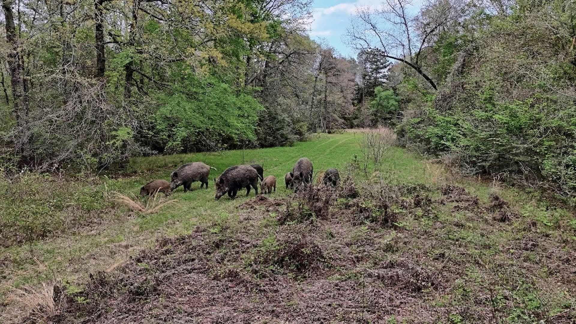 712 acres in Panola County - photo 34