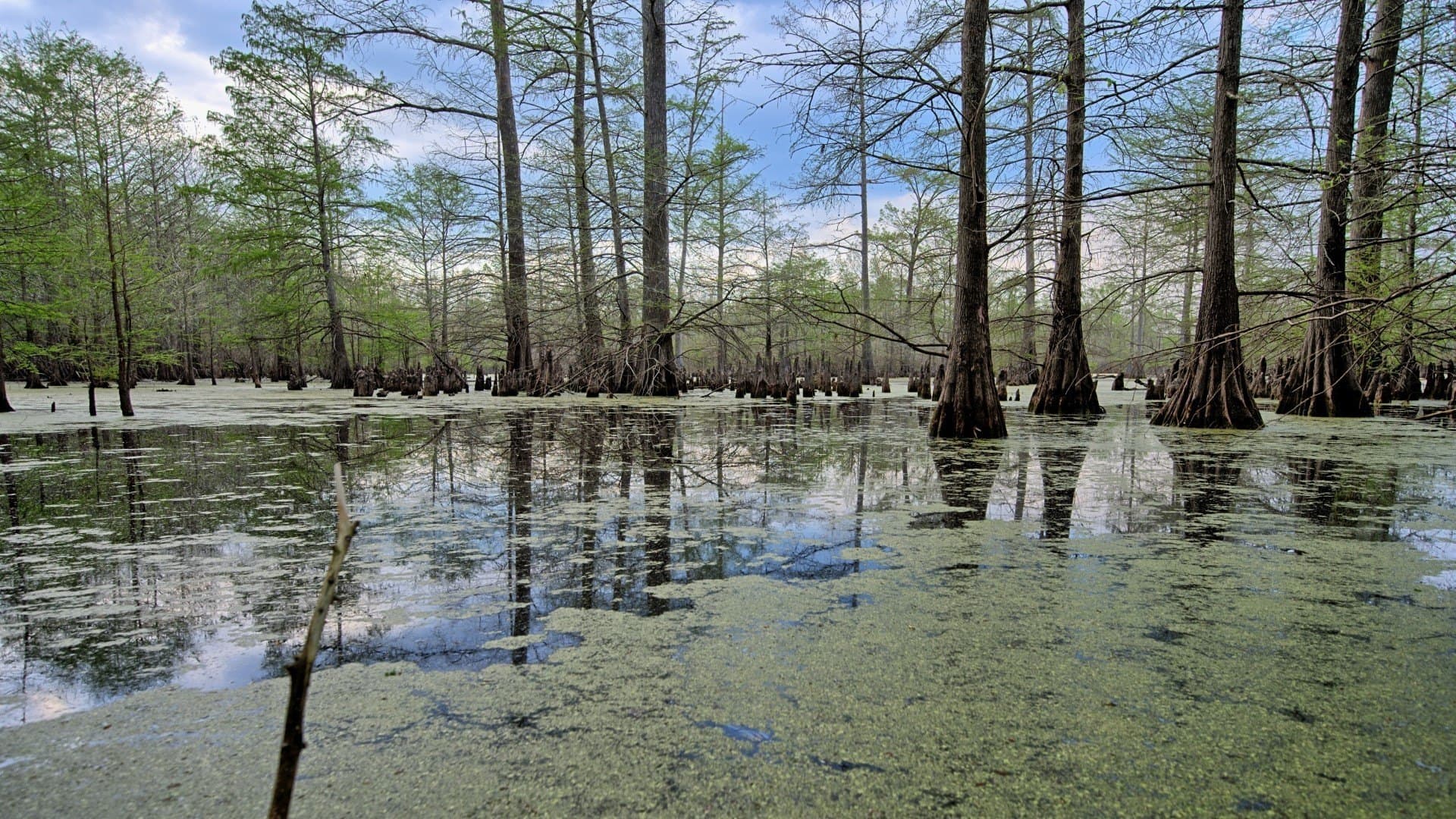712 acres in Panola County - photo 22