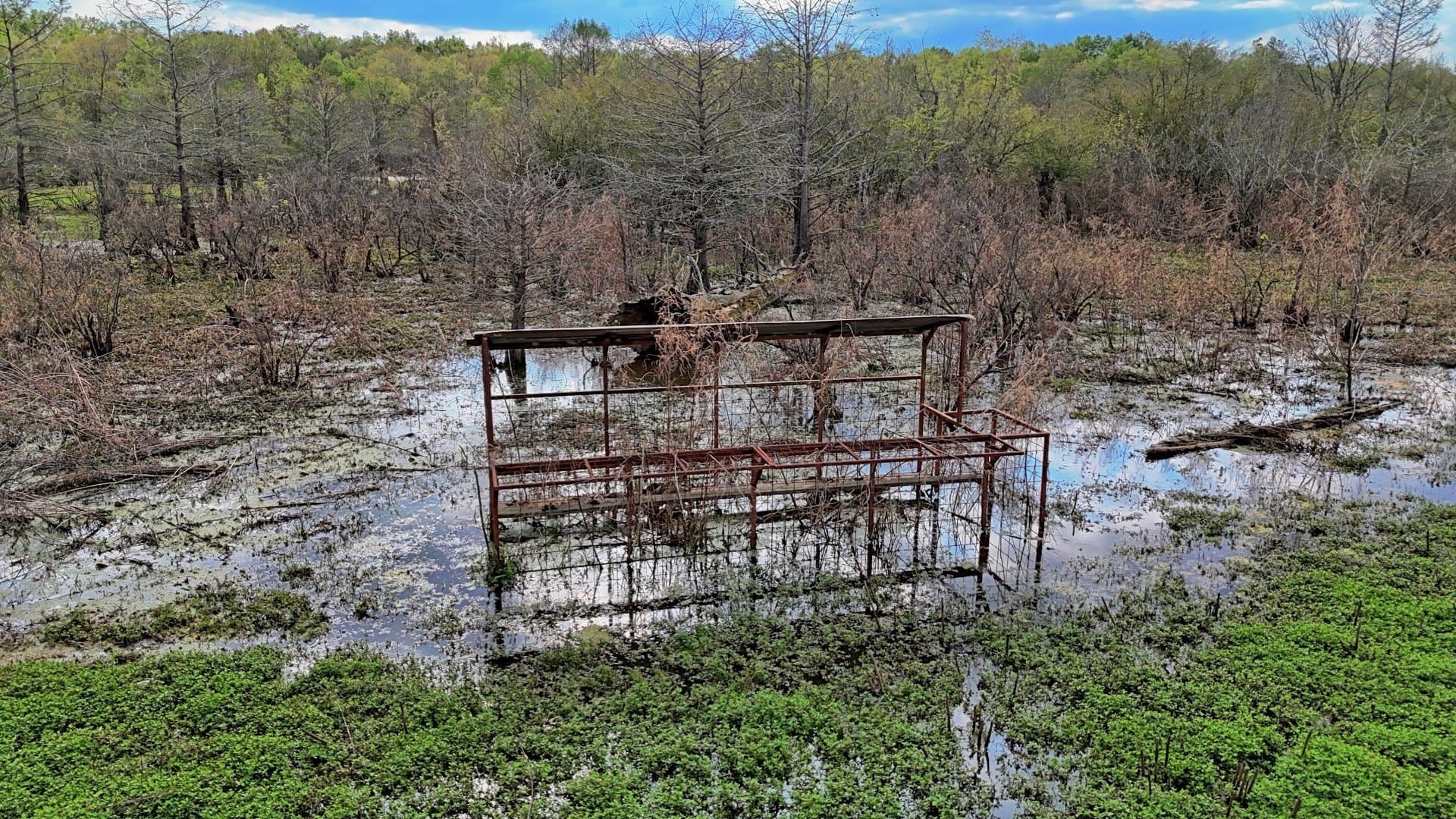712 acres in Panola County - photo 31