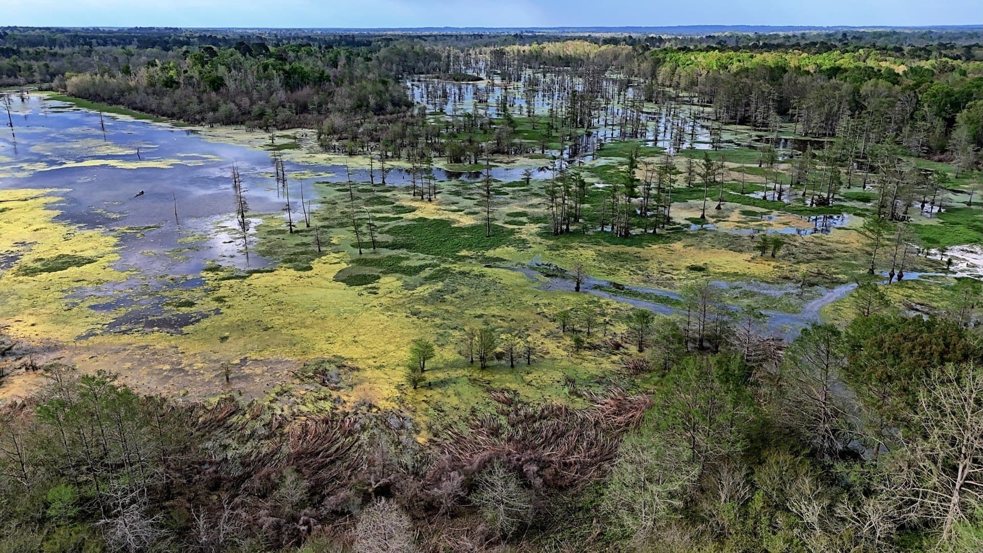 712 acres in Panola County - photo 23