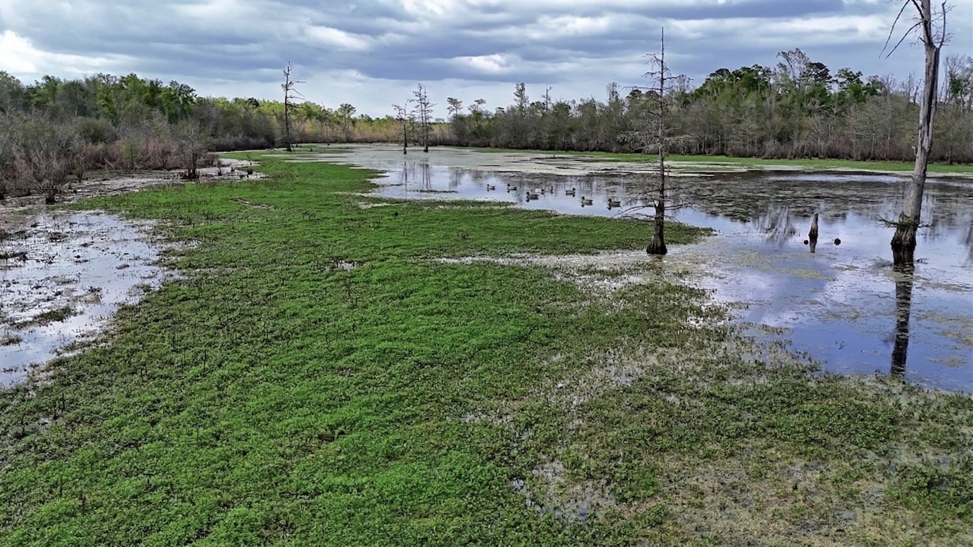 712 acres in Panola County - photo 28