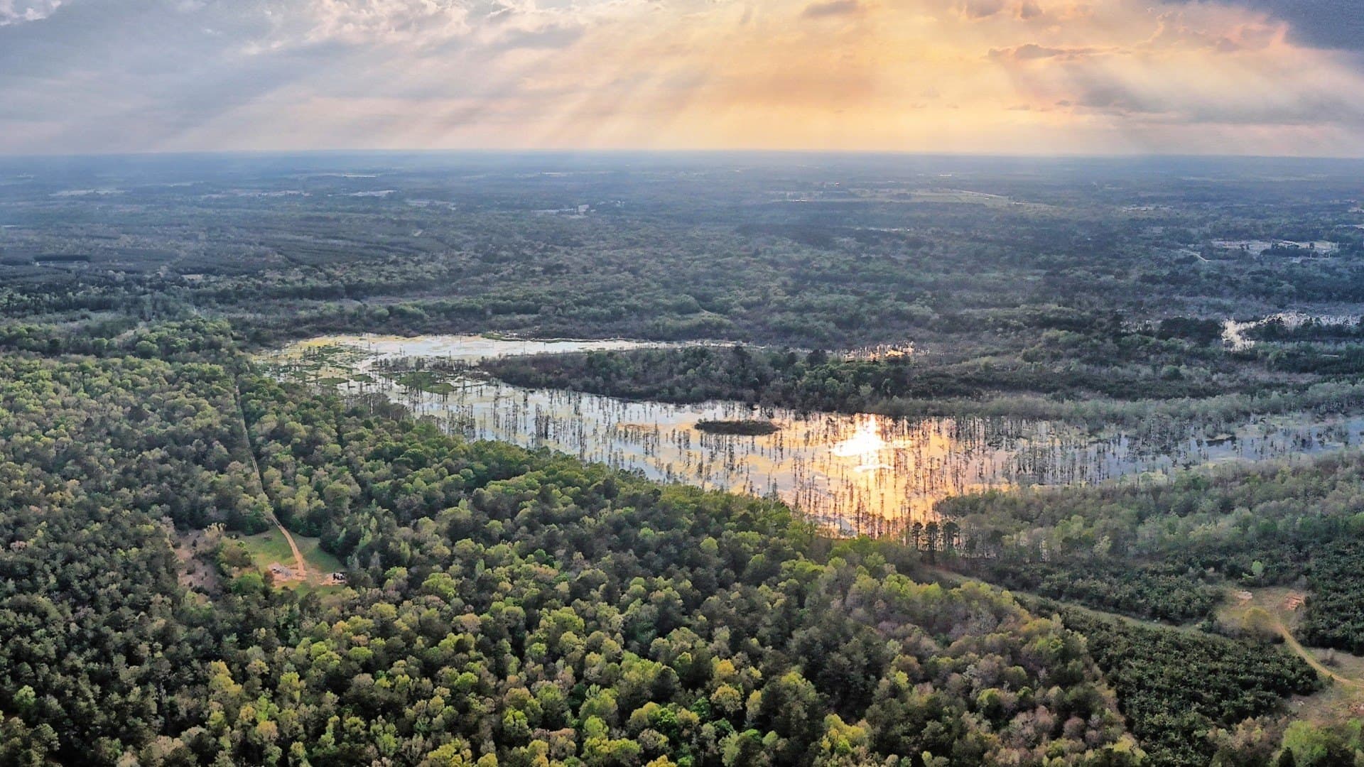 712 acres in Panola County - photo 20