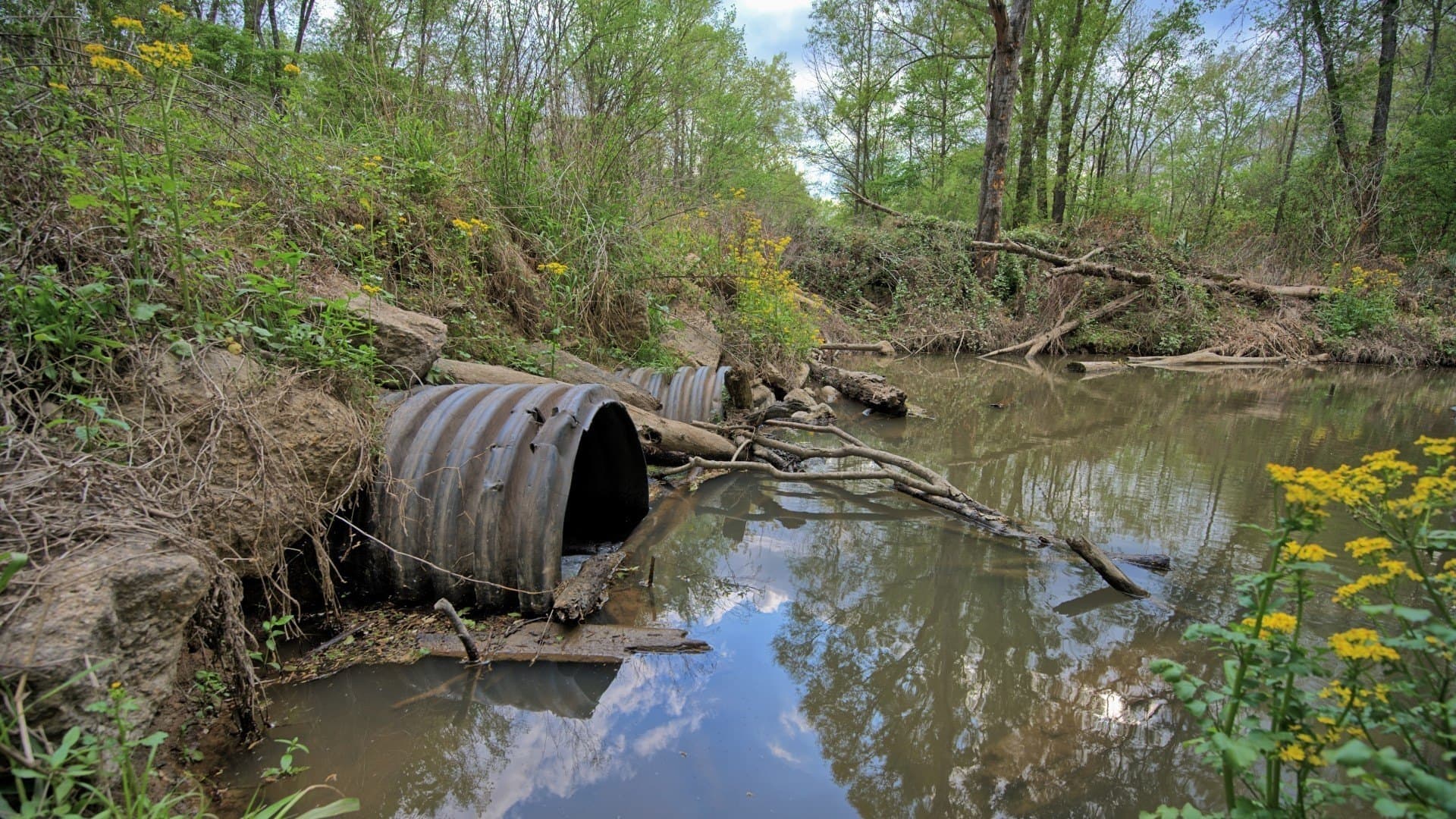 712 acres in Panola County - photo 37