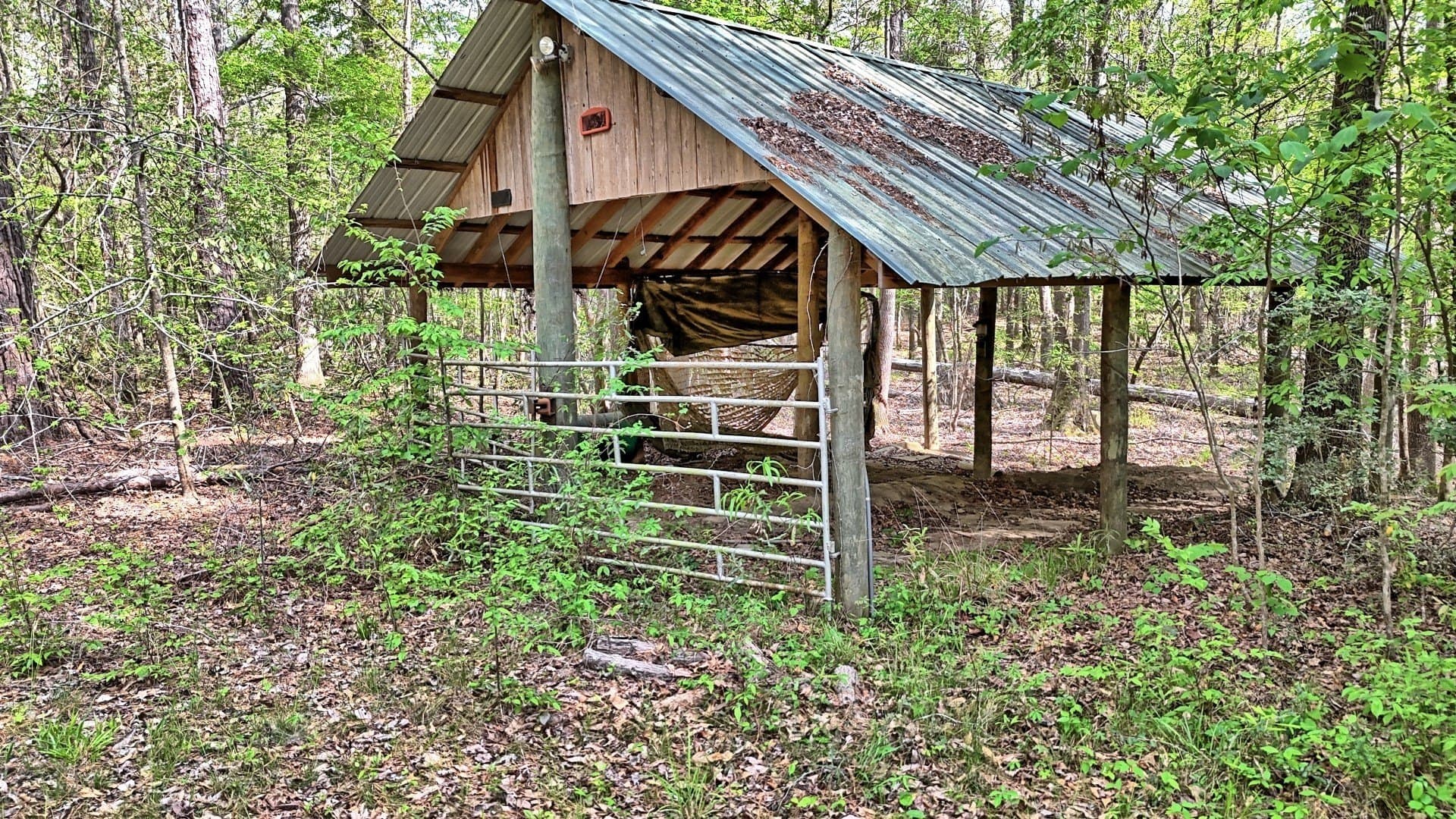 712 acres in Panola County - photo 40