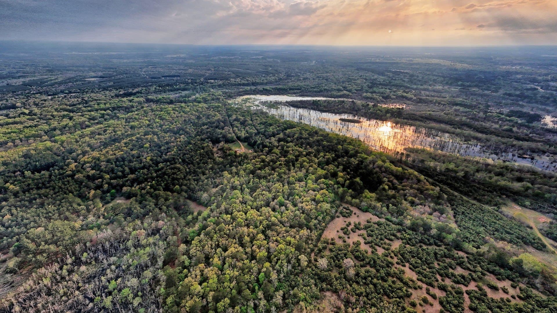 712 acres in Panola County - photo 19